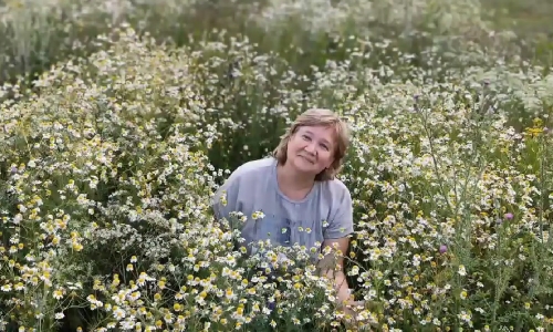 Ах, ромашки!